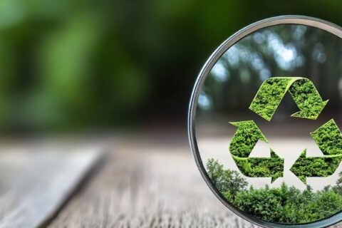 Seco Kicks Off 2025 With Bold Sustainability Initiatives